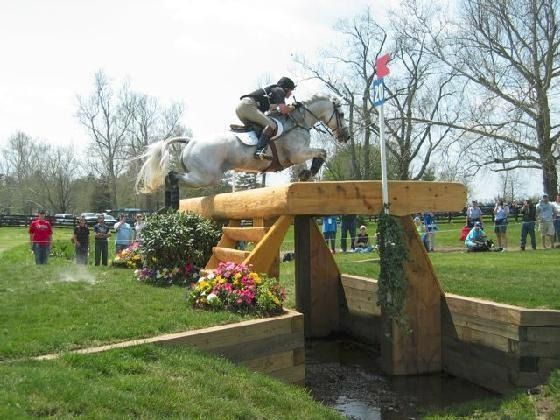 Eventing Horses